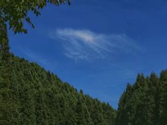 -武陵山森林公园