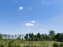 -合肥滨湖国家森林公园