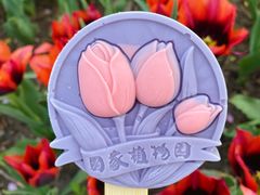 -国家植物园