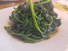 素炒苕尖-田园印象·成都土菜院子(华阳店)