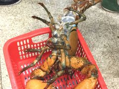 -蚝专家(北滘店)