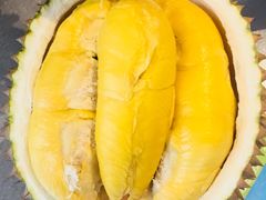 -都念榴莲·城市榴莲