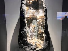 -重庆自然博物馆(新馆)
