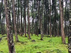 -硗碛藏寨·神木垒景区