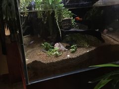 -Together·泰式按摩精油SPA(天山店)