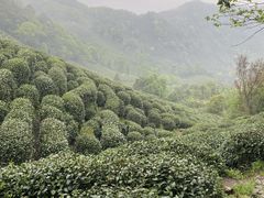 -十里琅珰