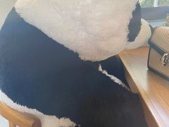 -幸薈飯堂