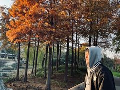 -尚贤河湿地