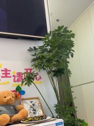 -MB·nail美甲美睫