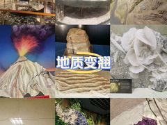 -中国地质博物馆