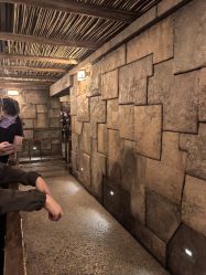 -翱翔飞越地平线