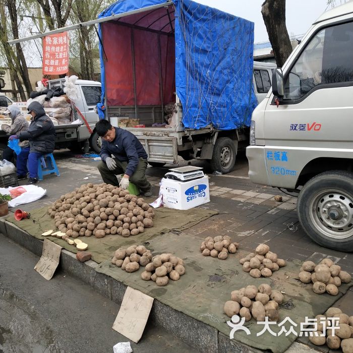 蒲河大集