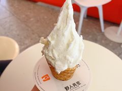 -野人先生现做冰淇淋(北京王府井东方新天地店)