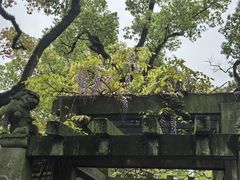 -天一阁博物院