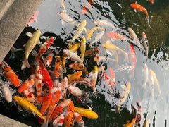 -枫桥景区