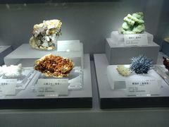 -湖南省地质博物馆