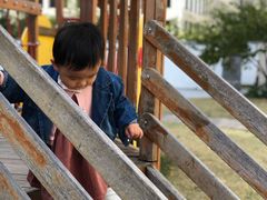 -硅谷蒙学幼儿园