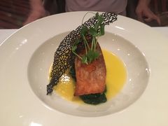 三文鱼-杭州国际会议中心洲际酒店-菋道海鲜餐厅