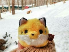 -宫城藏王狐狸村