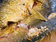 -北京龙庆四季香农家饭庄·灶台鱼·碳烤虹鳟鱼(龙庆峡店)