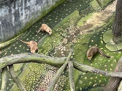 -西霞口神雕山野生动物世界