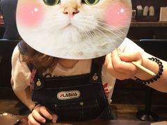-秋叶原电器街