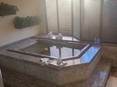 -春晖园度假酒店温泉