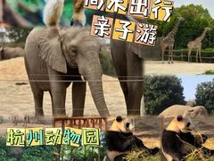 -杭州野生动物世界