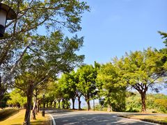 -福建鲤鱼洲酒店