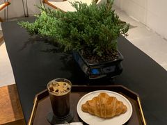 -星多哈·狗咖·拼豆·咖啡