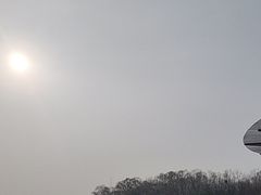 -大兴滨河森林公园