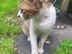 -湖南别院·美学庭院餐厅(惠阳店)