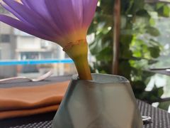 -圣丰索菲特·2 On 988 Café 自助餐厅