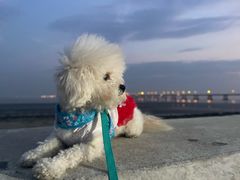 -南汇嘴观海公园