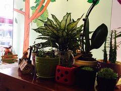 -猫山王创意蛋糕店(东城万达店)