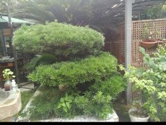 -凤来栖·净庭院·火锅(欧尚店)