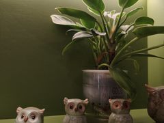 -小西家作(富力爱丁堡店)