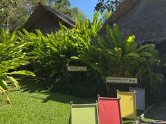 -大象粑粑造纸公园