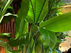 -云阿蛮云南生烫牛肉米线(奉贤路店)