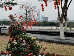 -海珠湖公园