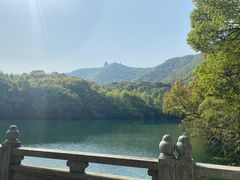 -杭州半山国家森林公园