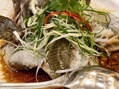 -北海渔村酒楼·粤菜海鲜点心(新华店)
