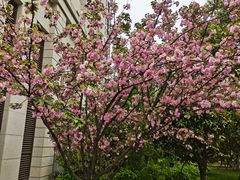 -长沙市青少年宫