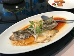 -荣轩(新荣记环球金融中心店)