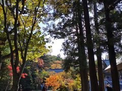-北海道神宫