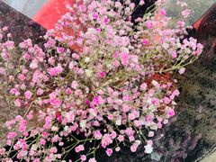 -秦美花卉(天朗·莱茵小城2期店)