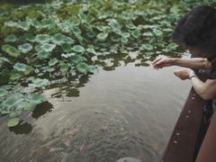 -龙头寺公园