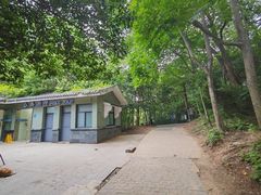 -紫金山山顶公园