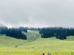 -新疆那拉提国家旅游度假区