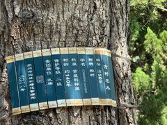 -苏州文庙(姑苏区)